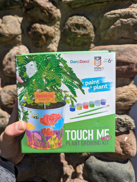 Touch Me Not Plant Growing Kit